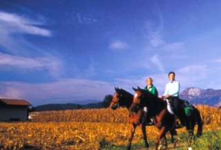 Cabalgamarras en el Vivaro